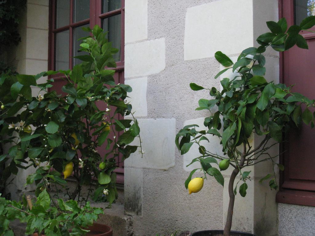 Le Logis Des Tourelles Bed & Breakfast Beaupreau Luaran gambar